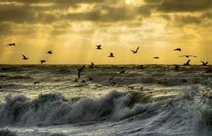 West coast of North Jutland Denmark