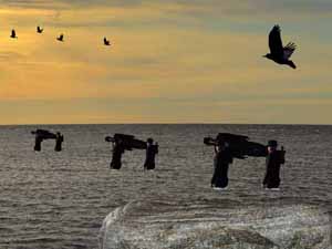 Fuglene - surrealistisk fotografi