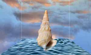  Surrealistiske fotos - Konkylie i himmelrummet - surrealistisk fotografi