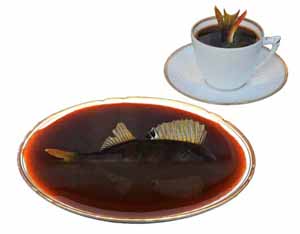 Søbekaffe - Surrealistiske fotos