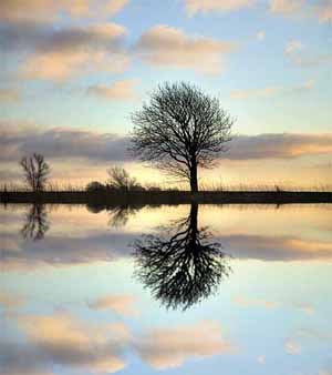 Surrealistisk fotografi - Spejling